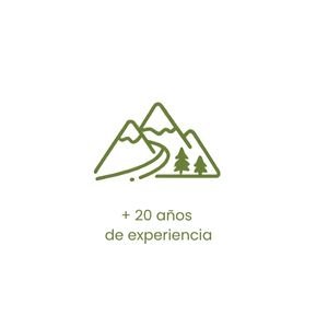 icon exper david